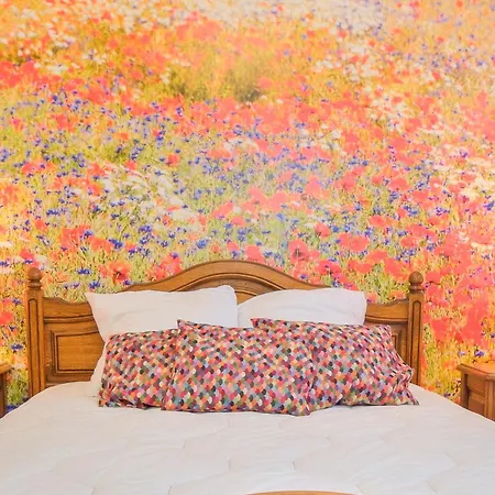 Apartment -gite Cosy De Monplaisir